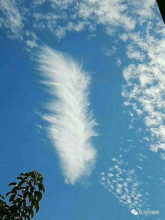 陆河上空出现奇观异象! 惊呆了揭西人.