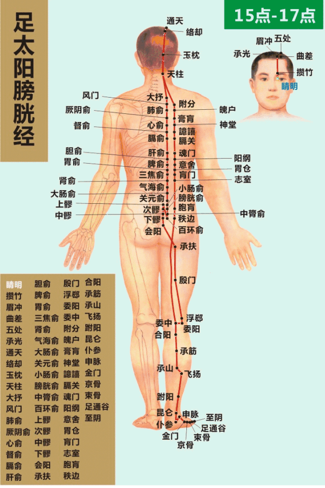 教学图示 640_960 竖版 竖屏 gif 动态图 动图