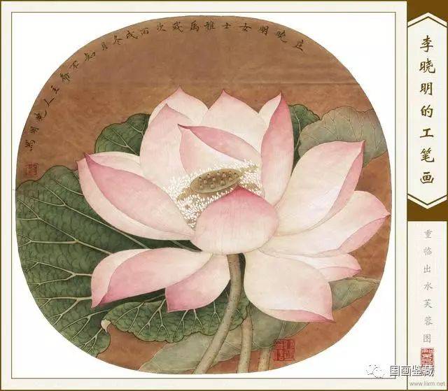 临宋画出水芙蓉图 国画荷花和露珠设色步骤