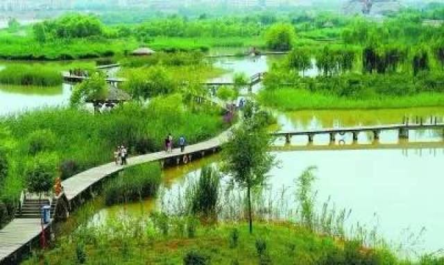 一定要去兰州 去银滩湿地公园感受大自然的气息
