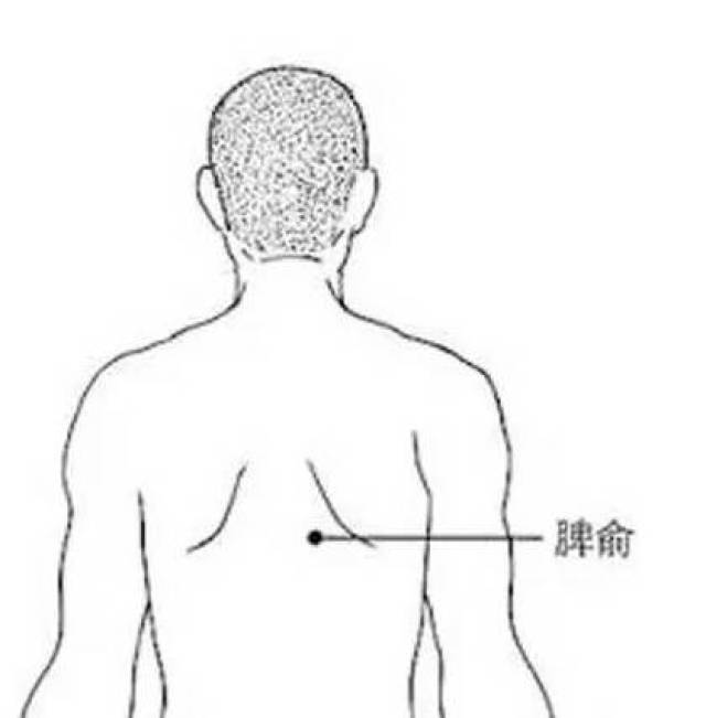 在背部,为足太阳经经穴,在第九胸椎棘突下,脊中(督脉)旁开1.5寸.