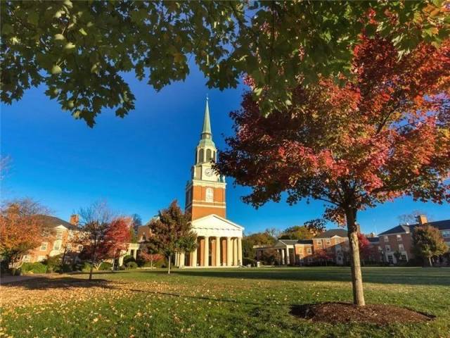 5. 维克森林大学 wake forest university