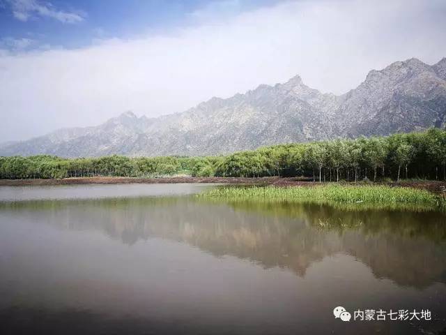 【16:30乐游天下】去内蒙古七彩大地看最美花