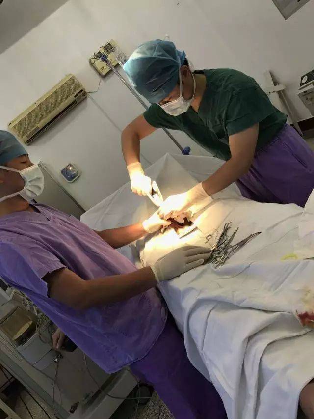 为爱为健康,环切这一刀……然而术后尴尬的疼痛怎么忍