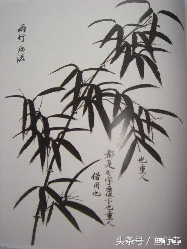 国画水墨画竹子的各种入门技法画法步骤图文详解