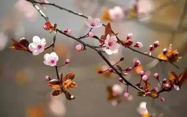 佛说:人生要有阳光般的心态.