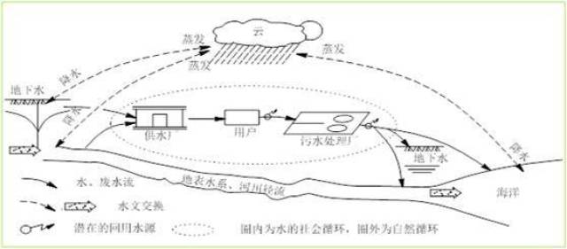 【chla报道】张杰:雨水循环与黑臭水体