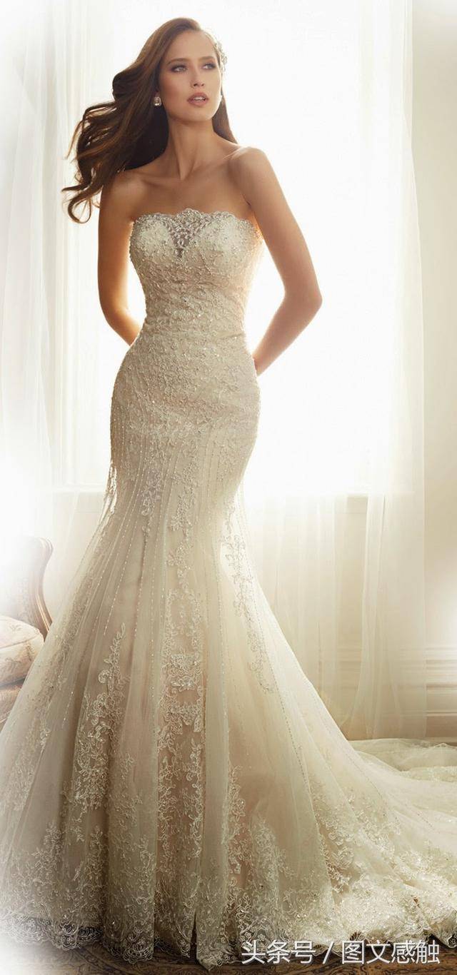 sophia tolli 新娘完美系列