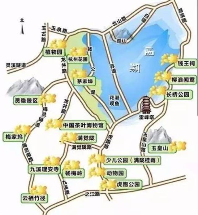 杭州赏桂地图▼