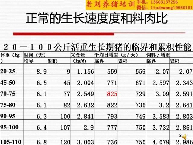 老刘养猪培训 解剖——生长慢和料肉比高