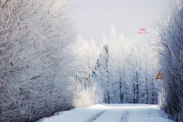 漠河旅游攻略 漠河冬季旅游景点介绍 漠河旅游路线推荐