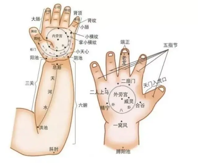 成都金牛区小儿推拿知识:超全的小儿推拿穴位总图