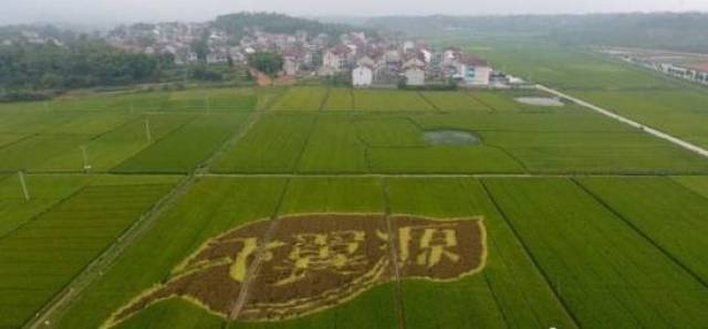 全国现代生态循环农业试点基地的浙江省嵊州市三界镇的飞翼农业休闲