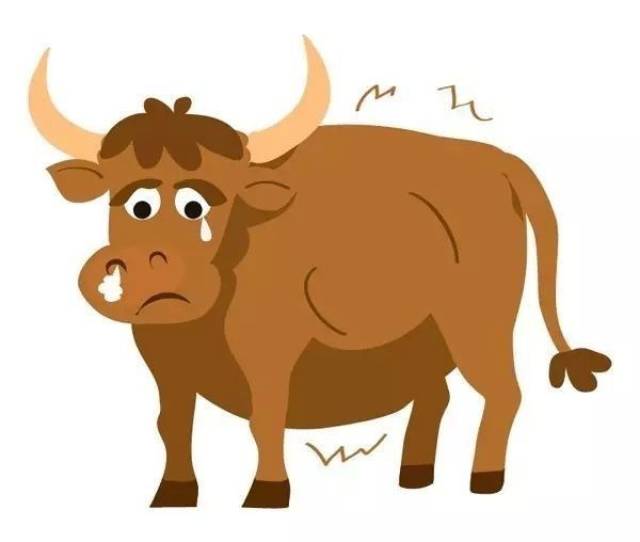 双节降至,华尔街上的大金牛喊你"焕"新家啦!