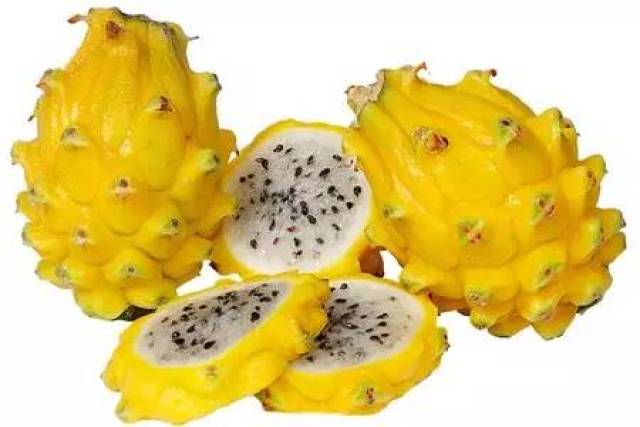 3,黄龙果 是火龙果品种中极为珍贵的品种 其果皮果肉色泽为黄皮白肉