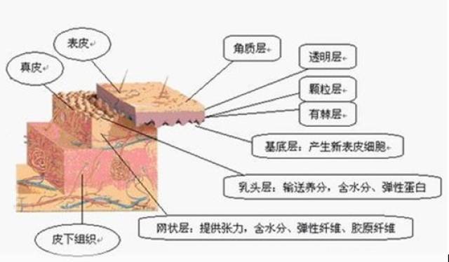 别再让这些护肤和化妆的谣言毁了你的脸!