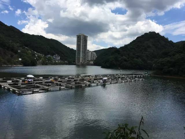 杭州钓友圈知名度颇高的大岭水库,位于华庭云顶附近,从市区往西南方向