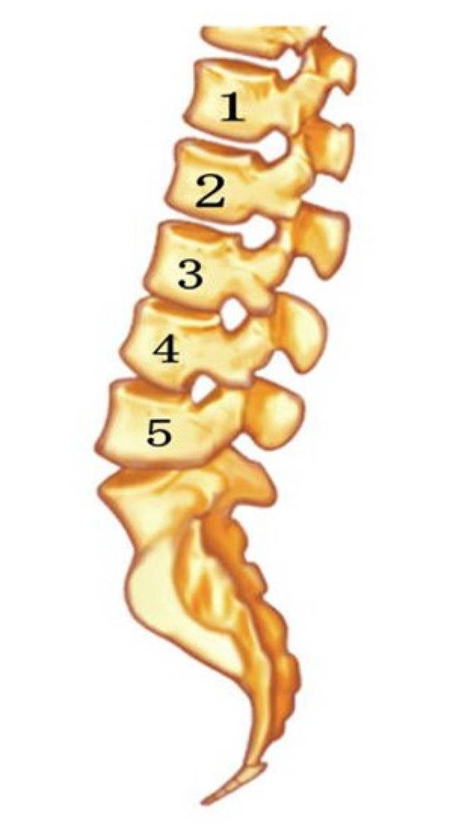 其中标记为l4-5及l5-s1的腰椎间盘,也就是最后两节