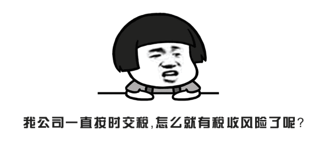 自查回复函