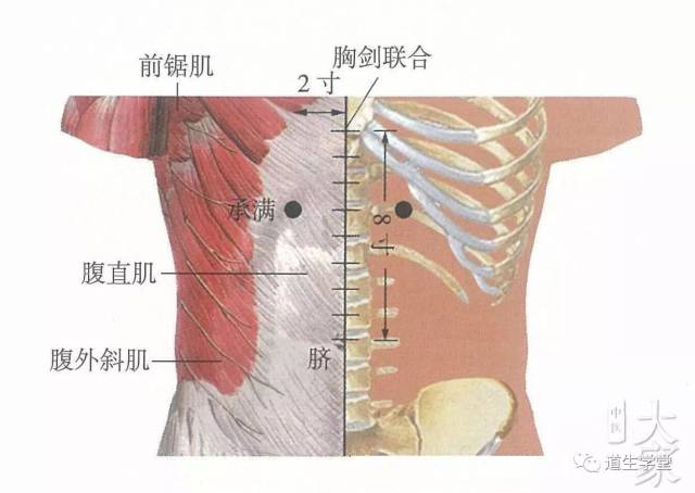 不可不知的穴位丨承满穴