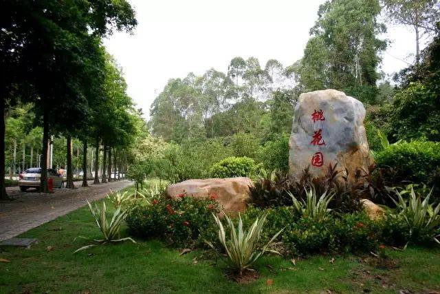 江门60个免费森林公园名单大公布你逛过哪几个