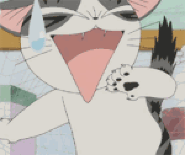 【猫片推荐】起司猫&养猫咪启蒙知识