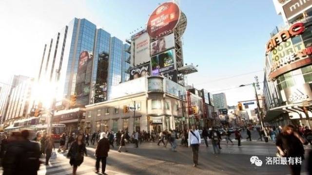 伊川创客：大鹏与年轻创业者大谈创业心得！为了梦想豁出去一次！