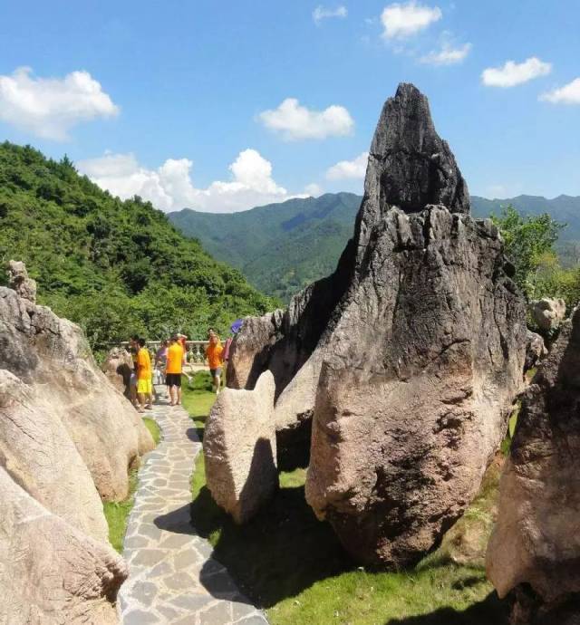 广东省云浮市富林镇大云雾山旅游区(免费停车) 大自然的美,让你惊叹!