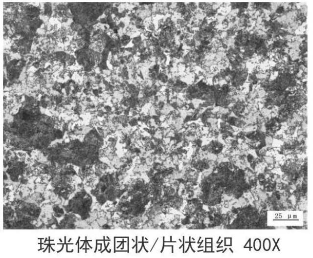 低中碳钢及合金钢球化退火后的组织:铁素体和球状珠光体或粒状珠光体