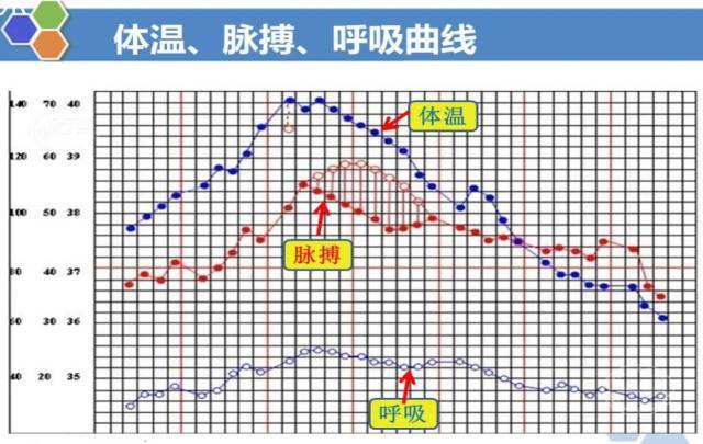 体温单的绘制与记录