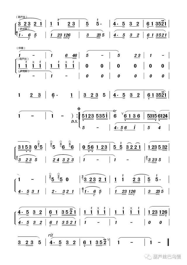 【国庆巨献】七孔宽音域葫芦丝独奏《远飞的大雁》——王厚臣