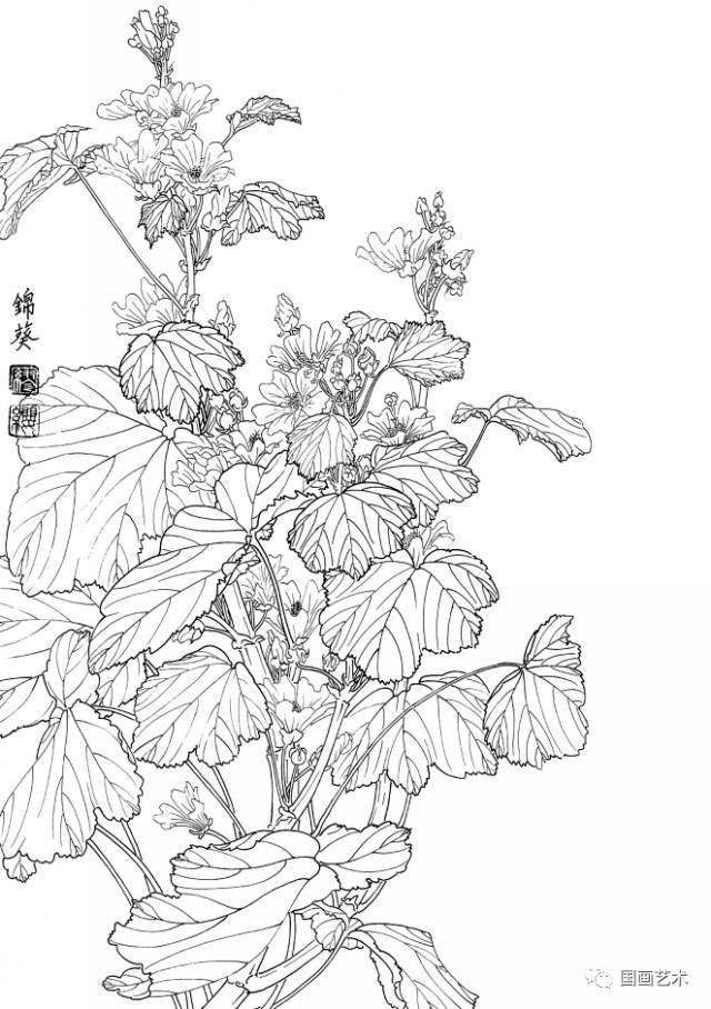 白描花卉写生范本:百花谱(3)