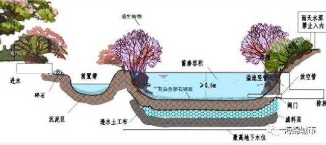 24种海绵城市设计措施全图解 /中国"海绵城市"计划:向