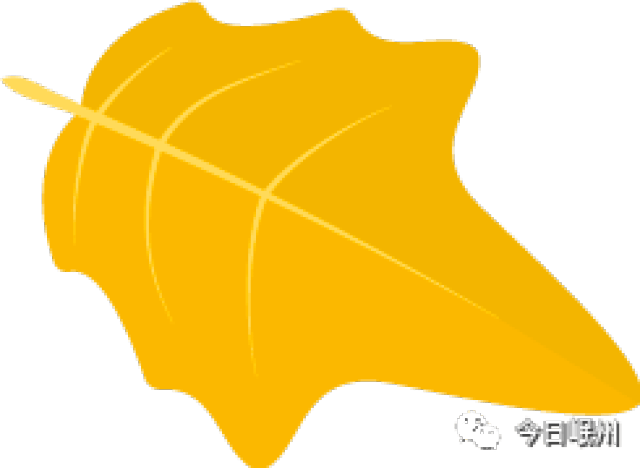 定岗安置协警、特勤,工资高的吓人一跳