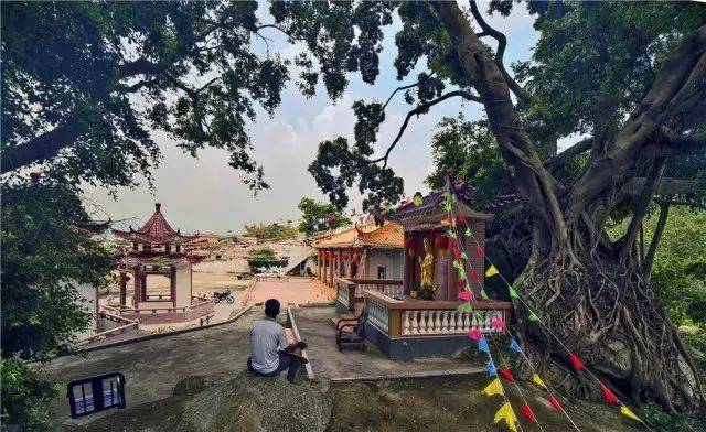 台山海宴出了一部大片,原来我的家乡是这么美,震惊所有台山人!