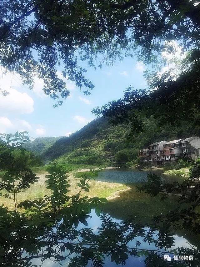 仙居古村落:河口村