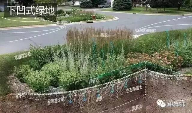 24种海绵城市设计措施全图解 /中国"海绵城市"计划:向