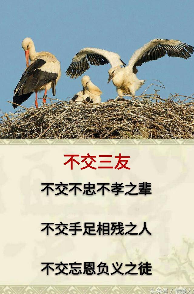 不交手足相残之人,不交忘恩负义之徒.
