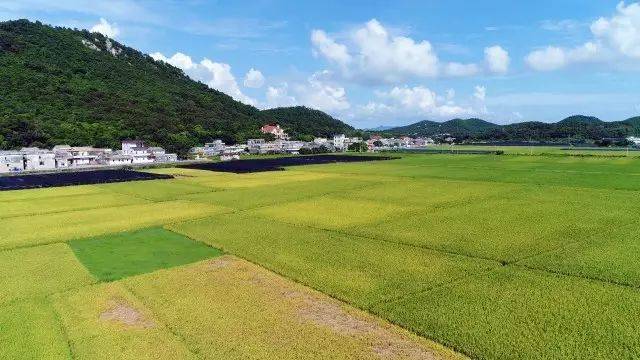 台山人口有多少_南台山卧佛有图片(3)