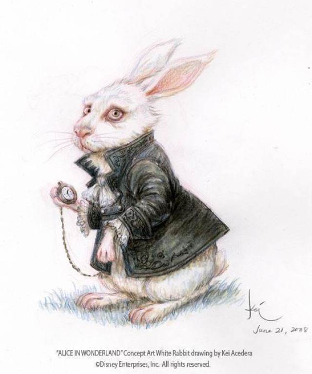 奇遇·爱丽丝丨兔子先生的142㎡