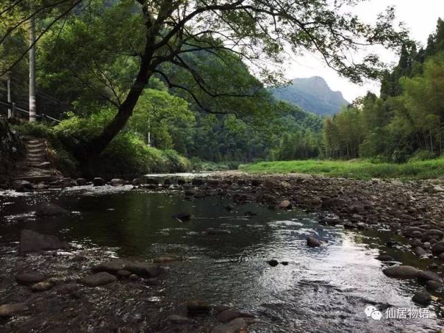 仙居古村落:河口村