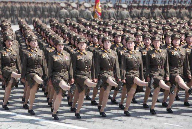外国人怎么过国庆?各国国庆节花样盘点|8只小猪