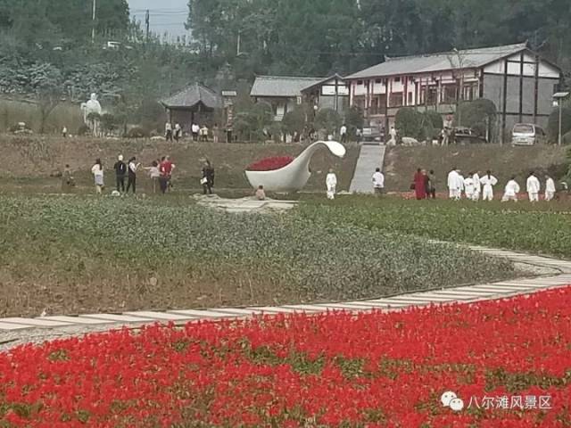 人多车多游客多,昨天,八尔滩风景区挤爆了(图)
