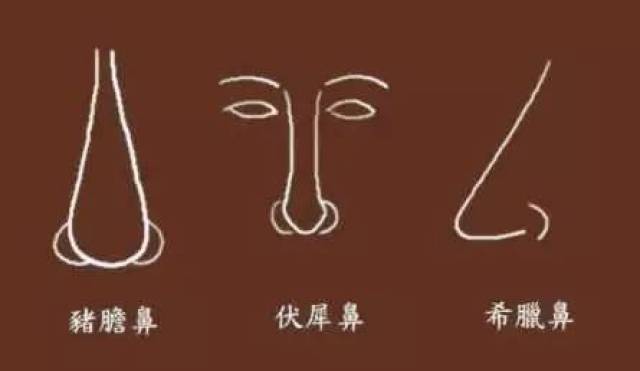 什么样的鼻子有福气.