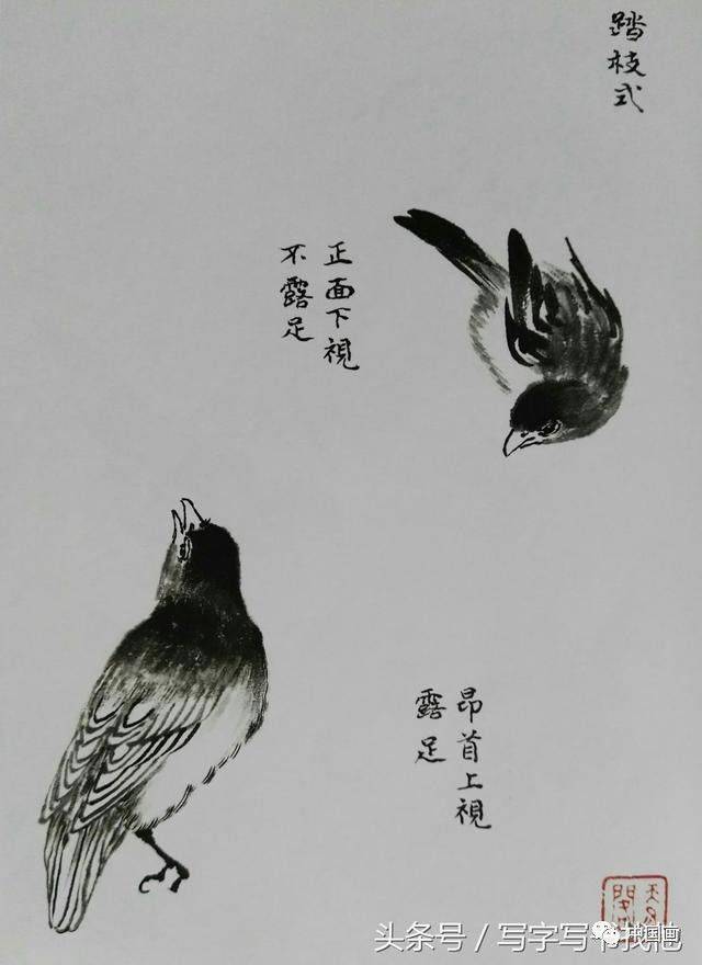 写意花鸟画中画鸟的基本技法,21幅步骤分解和姿势图