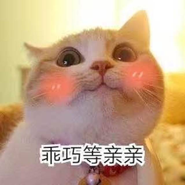 可爱猫咪表情包,快拿去撩小姐姐(001)