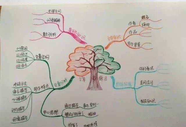 第二部分:思维导图,作文写作的小帮手 教会孩子用思维导图进行头脑