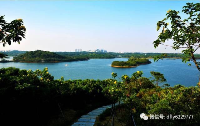 【东方国旅】10月7日东莞松山湖骑行 梦幻百花洲赏花纯玩一日游