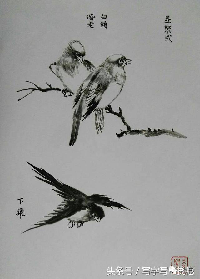 写意花鸟画中画鸟的基本技法,21幅步骤分解和姿势图