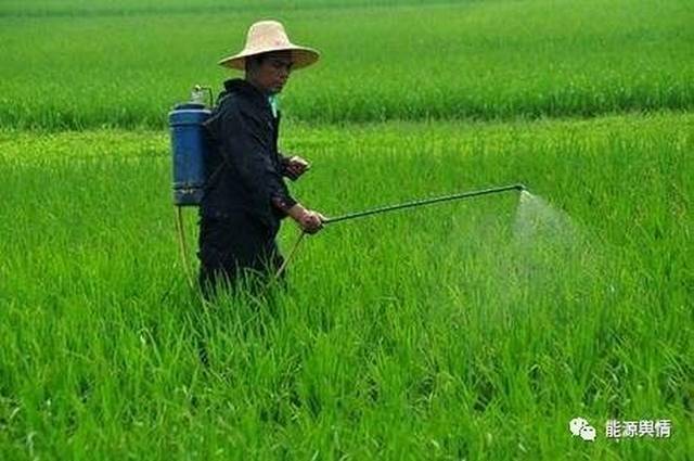 ������Ѷ����������������Դ����������淶����